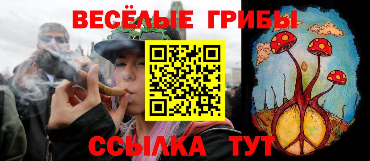 Лсд 25 Петропавловск-Камчатский