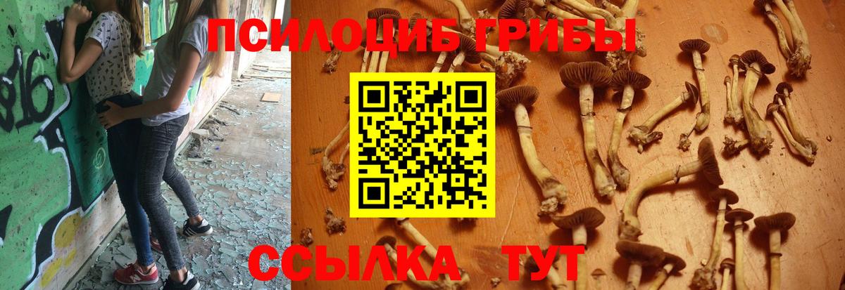 Петропавловск-Камчатский  Галлюциногенные грибы Cubensis  Псилоцибиновые грибы мицелий  Вход с VPN 